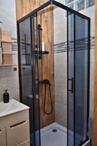 扎维尔切Apartament Gustav的浴室里设有玻璃门淋浴