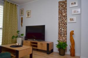 扎维尔切Apartament Gustav的客厅配有电视和茶几