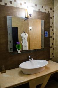波托维耶霍Hotel Ceibo Dorado的一间带水槽和大镜子的浴室