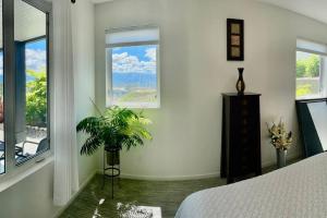 基洛纳Black Mountain Amazing Home on Golf Course的一间卧室配有床、植物和窗户