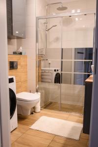 华沙Marywilska apartment的一间带卫生间和玻璃淋浴间的浴室