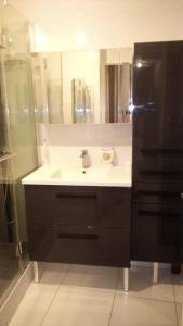 克雷泰伊VUE EXCEPTIONNELLE SUR LE LAC的一间带水槽和黑色冰箱的浴室