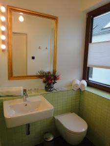 科隆科隆乡村公寓的一间带水槽、卫生间和镜子的浴室