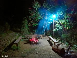 大吉岭塔哈加塔农家乐的夜间有长凳和街灯的公园