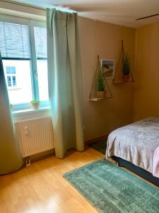维也纳Luxurious city apartment incl garage and terrace的一间卧室设有床、窗户和地毯。