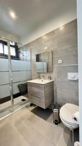 阿雅克修N°1 - Maison T2的一间带水槽和卫生间的浴室