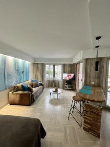 曼德琉-拉纳普勒Studio moderne - Port de Mandelieu - Proche Mer的带沙发和电视的客厅