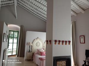 孔斯坦蒂纳Finca La Favorita的一间卧室配有一张床和一个壁炉