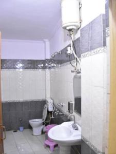贾姆穆Hotel Darpan By WB Inn的一间带卫生间和水槽的小浴室
