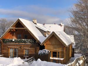 卡尔帕奇查特思维科瓦公寓的小木屋,屋顶上积雪