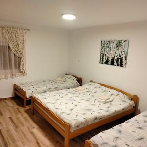RaškaVujanac vikend kuća的一间卧室设有两张床和窗户。