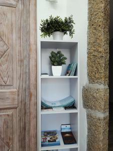 奥尔比亚Antica Isola的白色书架,上面有两株植物