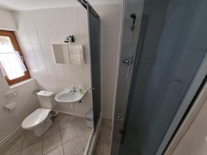 扎兹里瓦斯尼赛德瓦尔膳食公寓酒店的带淋浴、卫生间和盥洗盆的浴室