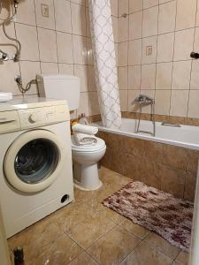 阿特米达Stavros Apartments的一间带卫生间和洗衣机的浴室