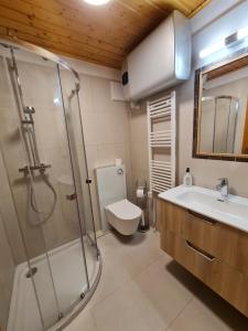 巴德小基希海姆Haus Bruna by Globalimmoservice的带淋浴、卫生间和盥洗盆的浴室