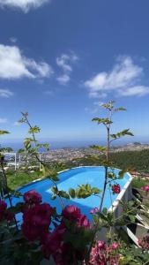 丰沙尔Studio Geek Villa - Matrix Open Space - all year round Pool, Dining Pergola, Barbecue - Funchal Holiday Home by Salviati Stays的享有鲜花游泳池的景色