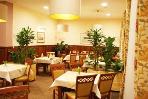 维尔加卡托维兹机场酒店餐厅或其他用餐的地方