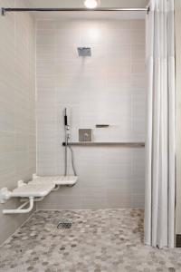 普莱诺达拉斯/普莱诺莱格西镇中心万豪酒店的一间带卫生间和淋浴帘的浴室