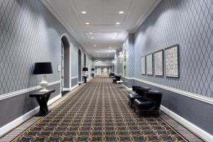 夏洛特夏洛特喜来登酒店的走廊设有黑色椅子,走廊设有蓝色的墙壁