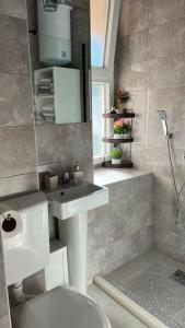 波德戈里察Apartment Downtown的浴室配有白色水槽和卫生间。