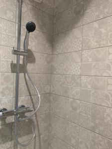 ChoiseyLe JOËL appartement F1 de 21 m²的浴室内配有淋浴和头顶淋浴