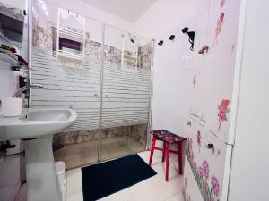 纳欧特哈基卡The Lowest Place on Earth B&B的一间带水槽和淋浴的浴室