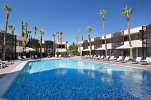安曼安曼万豪酒店的一个带椅子和棕榈树的大型游泳池