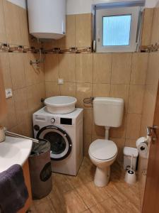 沃德年Apartma DOLORES的一间带卫生间和洗衣机的浴室