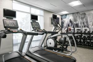 夏延春季山丘套房彻尼万豪酒店的健身房设有两个跑步机和一个跑步机