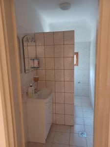 博加奇Fülöpsziget vendégház的浴室配有卫生间、盥洗盆和淋浴。
