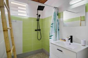 勒拉芒坦Le Cataleya - Gîte "Terre et Truffes"的绿色和白色的浴室设有淋浴和水槽