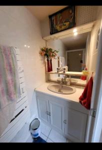 RomanswillerGîte Dubois的一间带水槽和镜子的浴室