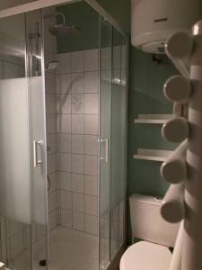 布雷斯特Cozy'Nest的一间带卫生间和玻璃淋浴间的浴室
