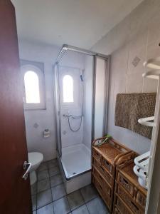 卢加诺Casa Dina的带淋浴和盥洗盆的浴室