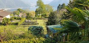 卢加诺Casa Dina的享有湖泊和山脉美景的花园