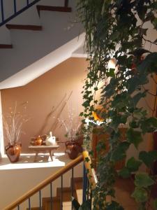 莫利诺斯德杜埃罗Lagunas de Urbión的带有盆栽植物和桌子的楼梯