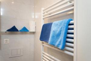 蓬特雷西纳Chesa Quadrella的浴室提供毛巾架上的蓝色毛巾