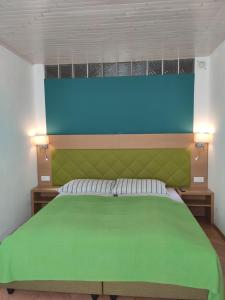 格拉茨Vintage Apartment的一间卧室配有一张绿色的床和蓝色床头板