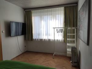 格拉茨Vintage Apartment的客房设有床、电视和窗户。