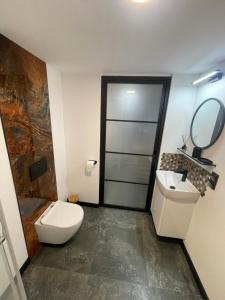 格但斯克Cichy Apartament Gdańsk的一间带卫生间、水槽和镜子的浴室
