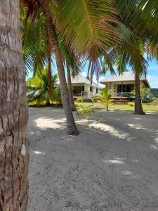 阿鲁坦加帕帕雷海滨简易别墅 - 艾图塔基的海滩上的两棵棕榈树,有房子