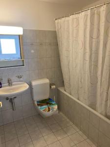圣莫里茨St. Moritz的浴室设有卫生间、水槽和淋浴帘