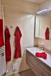 维尔德豪斯Weiherhof的浴室设有红色的墙壁和水槽