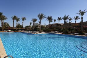 沙姆沙伊赫塔玛拉海滩度假酒店的棕榈树度假村的游泳池