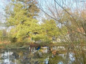 内克瑟8 person holiday home in Nex的一座树上水体上的桥梁