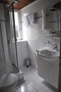 英格堡Hotel Engelberg "das Trail Hotel"的白色的浴室设有水槽和卫生间。