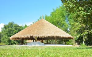 清迈resort hoshihana的田野上带草屋顶的大型小屋