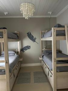 兰格班Cozy Corner Backpackers的客房设有两张双层床和吊灯。