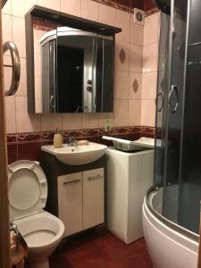 哈尔科夫Затишна однокімнатна квартира 5 хв від Південного вокзалу的浴室配有卫生间、盥洗盆和淋浴。