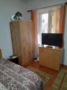 克利默内什蒂Casuta Maria Alexandra的一间卧室配有一张床和一台平面电视